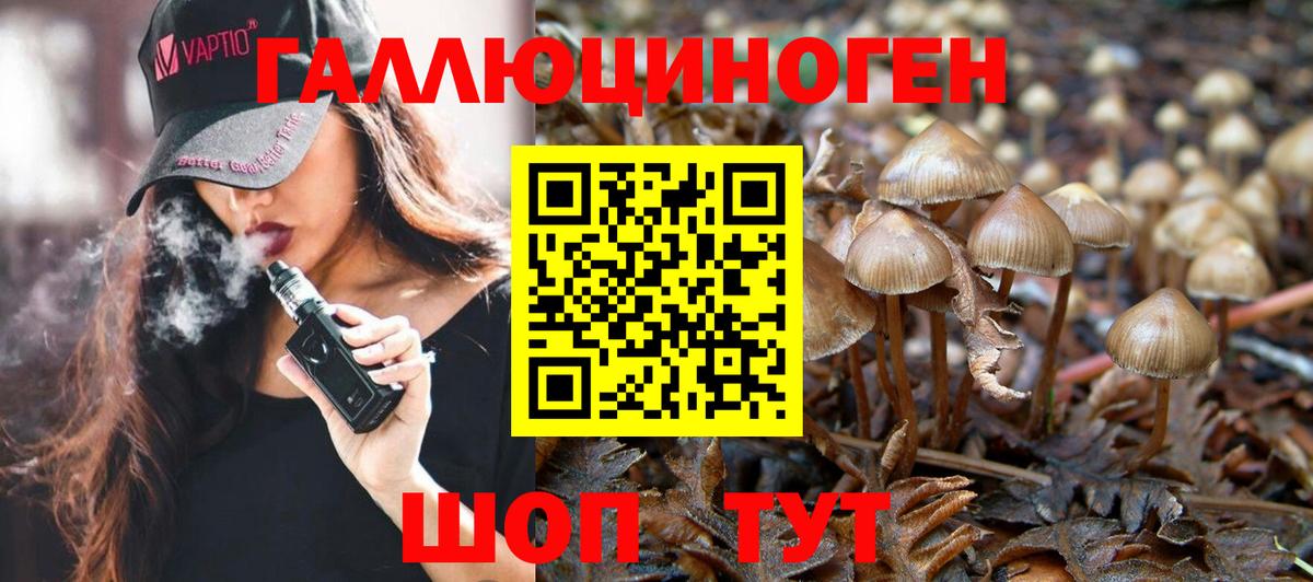 Псилоцибиновые грибы мухоморы Верхний Уфалей
